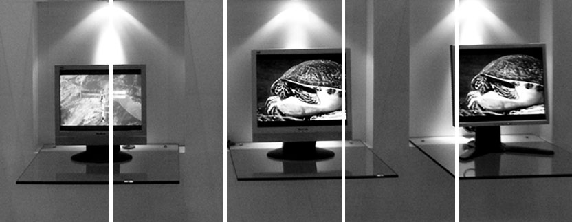 monitor